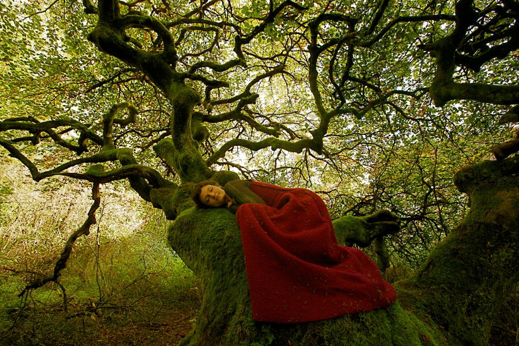 Lily Jung sur un arbre